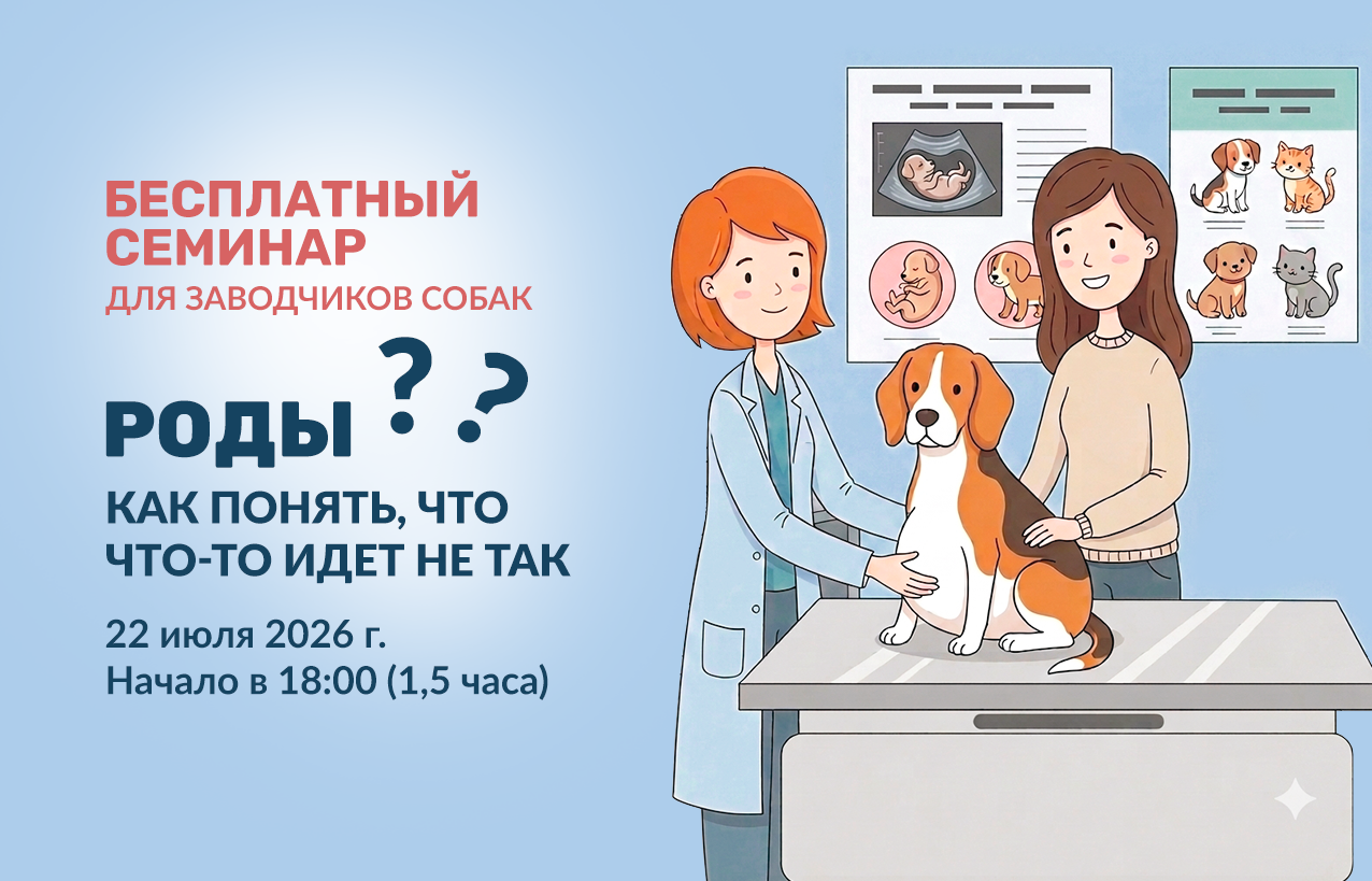 Диагностика  при планировании беременности
