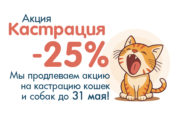 Акция - Кастрация - 25%