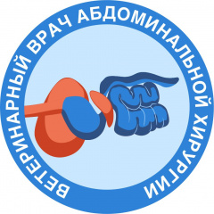 абдоминальный хирург