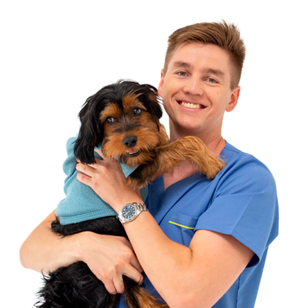 Пантюлин Андрей Михайлович