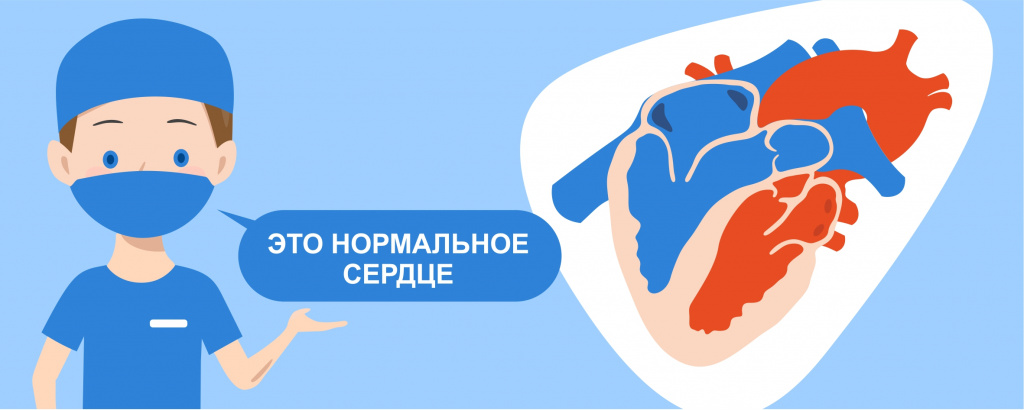 Уникальные операции на сердце собакам и кошкам, ветеринарная кардиология и кардиохирургия Ветеринарной клинике Сотникова. Уникальные операции на сердце собакам и кошкам, ветеринарная кардиология и кардиохирургия Ветеринарной клинике Сотникова.