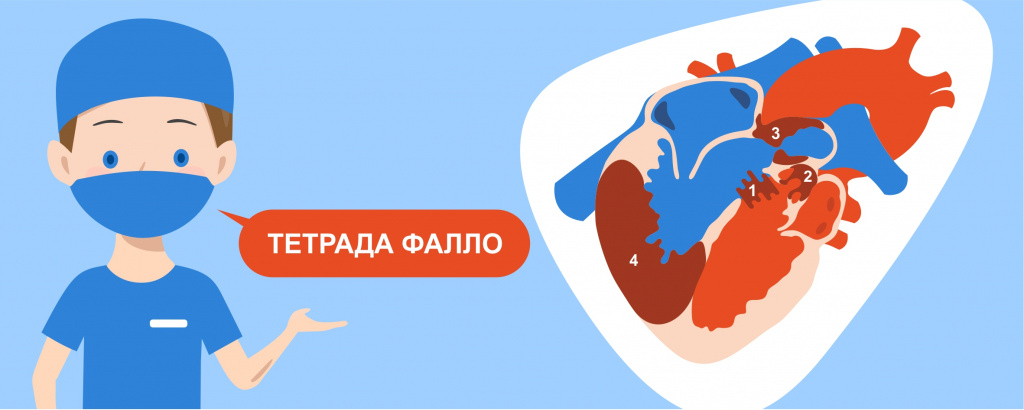 Уникальные операции на сердце собакам и кошкам, ветеринарная кардиология и кардиохирургия Ветеринарной клинике Сотникова. Уникальные операции на сердце собакам и кошкам, ветеринарная кардиология и кардиохирургия Ветеринарной клинике Сотникова.